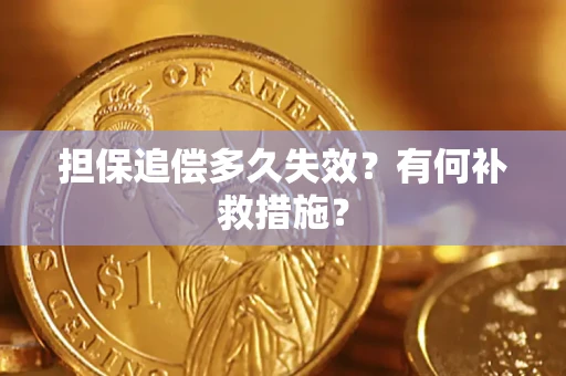北京担保追偿多久失效?有何补救措施? 北京担保追偿多久失效?有何补救措施?