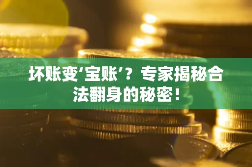 北京坏账变‘宝账’?专家揭秘合法翻身的秘密! 北京坏账变‘宝账’?专家揭秘合法翻身的秘密!